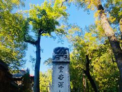 -灵谷景区