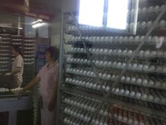 -兴芮温泉度假区