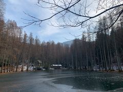 -波尔登森林公园