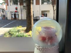 景观位-Bubble Nini Chippendale