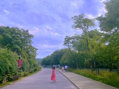 -无锡动物园·太湖欢乐园