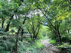 -雁荡山风景名胜区