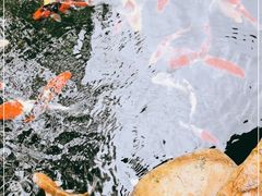 -云溪植物园