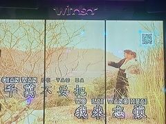 -温莎KTV(国贸店)