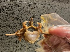 -浩爷羊蝎子火锅(望京店)
