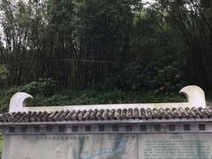 -羚羊峡古栈道森林公园