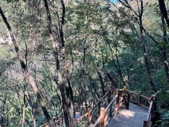 -大岭沟猕猴桃谷风景区