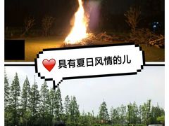 -前小桔亲子创意农场·草莓采摘·露营烧烤