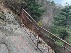 -王顺山国家森林公园