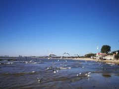 -老虎石海上公园