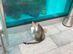 -ID.PHOTO照相馆(嘉里企业中心店)