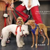 Infica Coffee 不仅咖啡好喝蛋糕好吃，氛围超棒