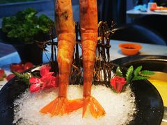 阿根廷大红虾-煲宫猪肚鸡(晶品店)