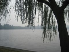 -西湖外事游船(花港观鱼码头)