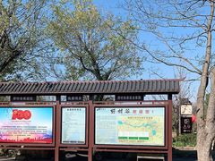 -黄陂区野村谷景区