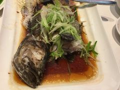 -凤城礼记鱼翅海鲜酒家(百老汇店)