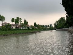 -嘉定紫藤园