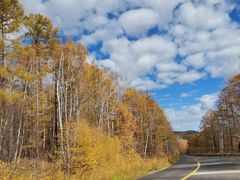 -莫尔道嘎国家森林公园