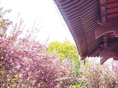 -西安青龙寺遗址景区