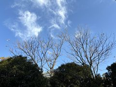 -杭州城北体育公园