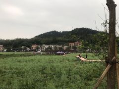 -红山村