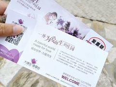 -大塘金香草谷