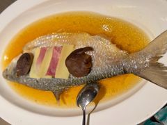 -望乡楼上海菜(日月光店)