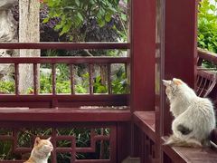 -檀园