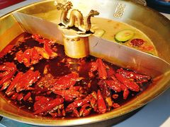经典鸳鸯-小龙翻大江文化火锅(宽窄店)