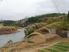 -千岛湖龙川湾