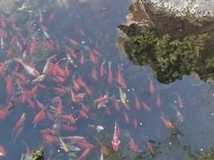 -水磨沟公园