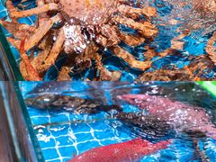 -阿里元海鲜·闽南特色菜(曾厝垵店)