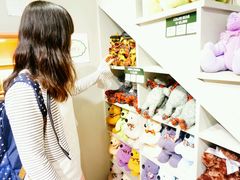 android_upload_pic-济州岛泰迪熊博物馆