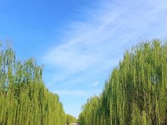 -海棠花溪(元大都城垣遗址公园)