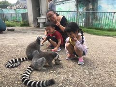-无锡动物园·太湖欢乐园