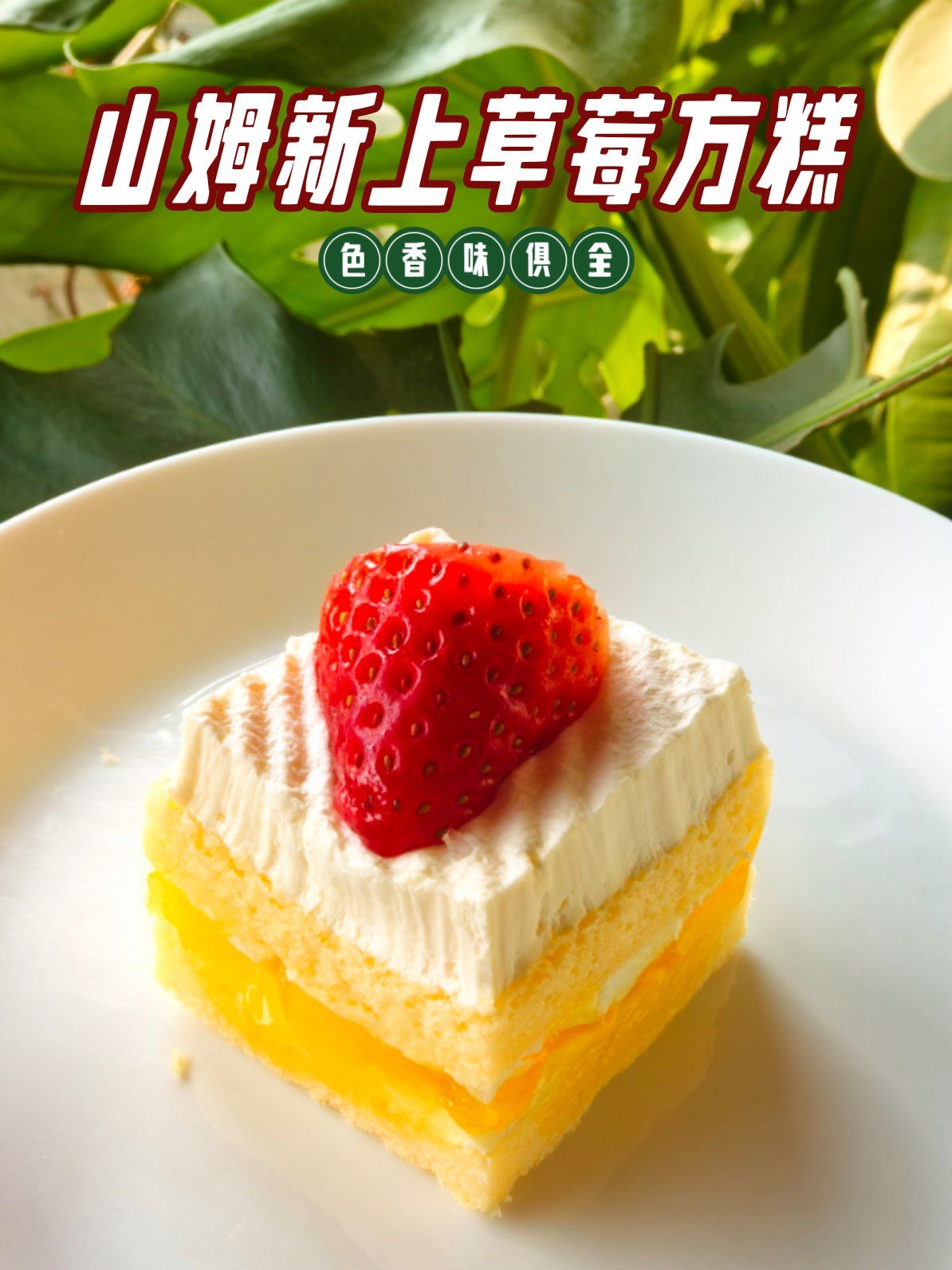 山姆上新:草莓方糕