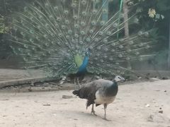 -长廊欢乐园