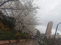 景点-鲁迅公园