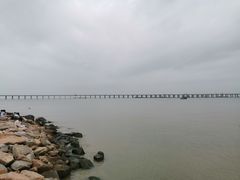 -宝安西湾红树林湿地公园