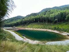 -龙坞茶村