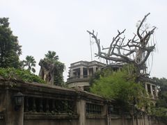 -海天堂构