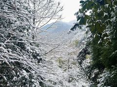 -安吉龙王山风景区