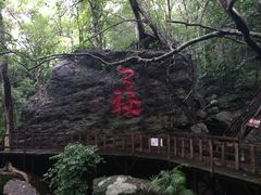 -七仙岭温泉国家森林公园