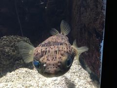 -苏州海洋馆