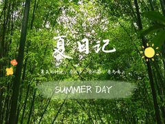 -竹海听涛生态山庄