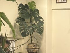 -阿九笨鸡蛋手擀面(总店)