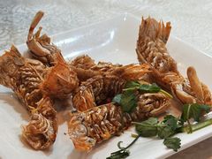 -阳江餐厅·30年老字号·粤菜海鲜大排档