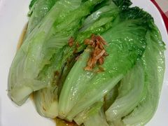 葱油罗马生菜-西贝(上海新梅广场店)