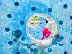 -上海海湾国家森林公园