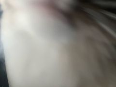 -瑞派福兴宠物医院犬猫全科·骨科·中西医结合(河东店)